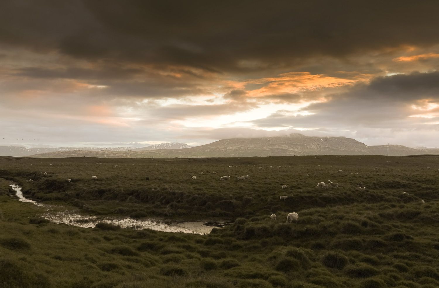Desolated land at sunset in Iceland 