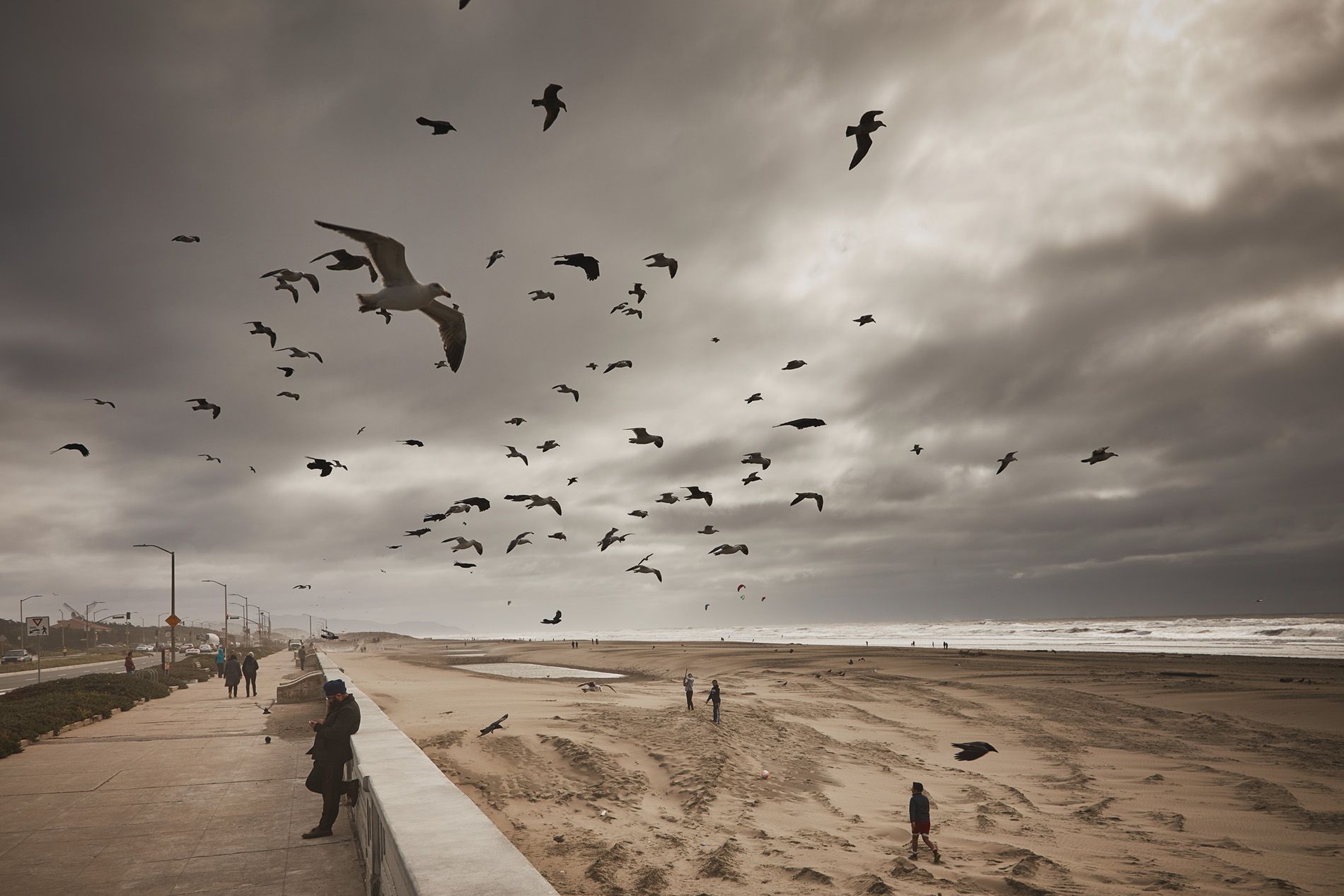 Man with seagulls in Ocean Beach in San Francisco in a cloudy day 