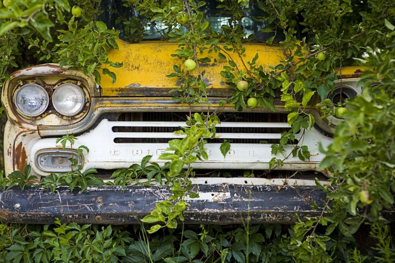 Old abandoned car in the New Mexico countryside with fruit tree